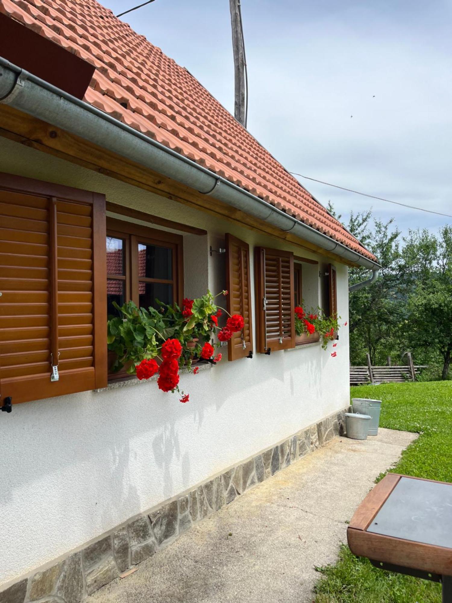 Domacija Brdar Villa Adlesici Екстериор снимка